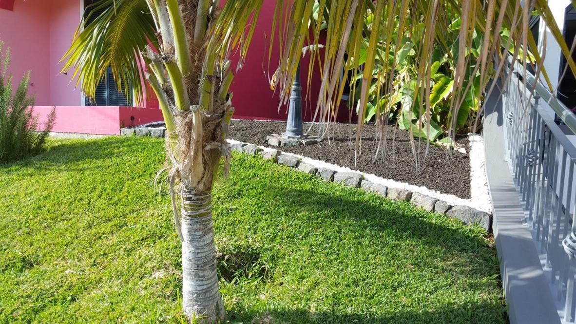 Appartement Pink House à Ponta do Sol  Extérieur photo